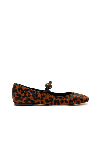 Introducing the Blair Ballet Flat in Leopard Print Calf Hair—this elegant design features a single leopard-print Mary Jane flat shoe with a pointed toe and a stylish black buckled strap over the instep. It boasts a minimalist aesthetic, characterized by its low profile, thin outer sole, and memory foam cushioning for extra comfort. The sophisticated pattern showcases dark brown spots on a light brown background.