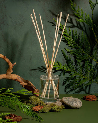 The Catskills Reed Diffuser by Brooklyn Candle Studio features a glass bottle with wooden reeds extending from its opening, spreading a serene botanical fragrance. The diffuser is elegantly displayed amidst lush greenery, including ferns, moss, and a rounded stone, all set against a dark green backdrop. This natural and calming arrangement makes it an ideal accessory for any home office.