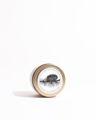 A small, white round tin with a golden lid lies on its side against a white background. The label on the lid of the Montana Forest Gold Travel Candle by Brooklyn Candle Studio features a black botanical illustration of blue spruce and leaves, along with text detailing eco-friendly product information around the illustration.