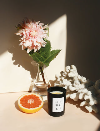 A pink dahlia in a clear glass vase is placed on a sunlit surface. A black Neroli Noir Candle by Brooklyn Candle Studio and half a grapefruit also adorn the scene. A piece of white coral rests beside the candle, creating a serene and elegant arrangement with premium fragrance oils.